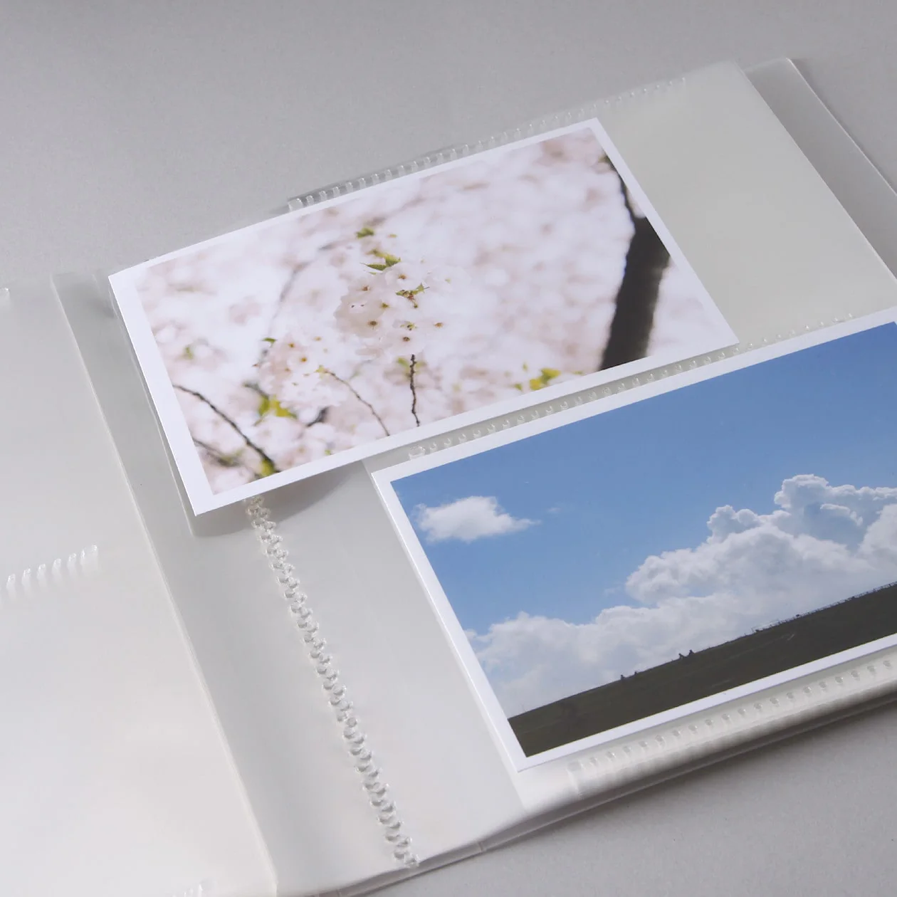 Polypropylene Album 2 Row - Image 7