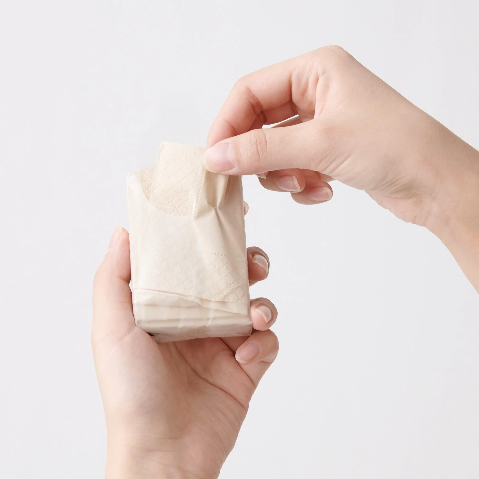 Portable Paper Napkin (6 Pack)