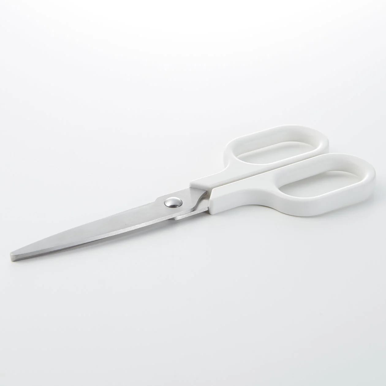 Stainless Steel Scissors